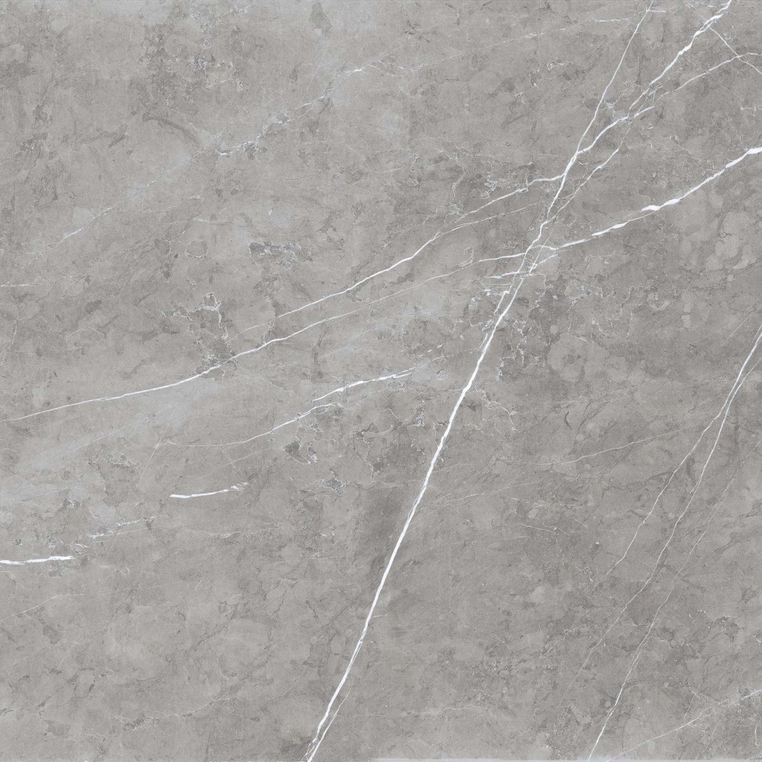 E-shop Euro Stone Dlažba Ciana Lux sivá leštená 60 x 60 cm