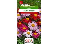 Aros Semienka Králik, zmes farieb (Chrysanthemum segetum)