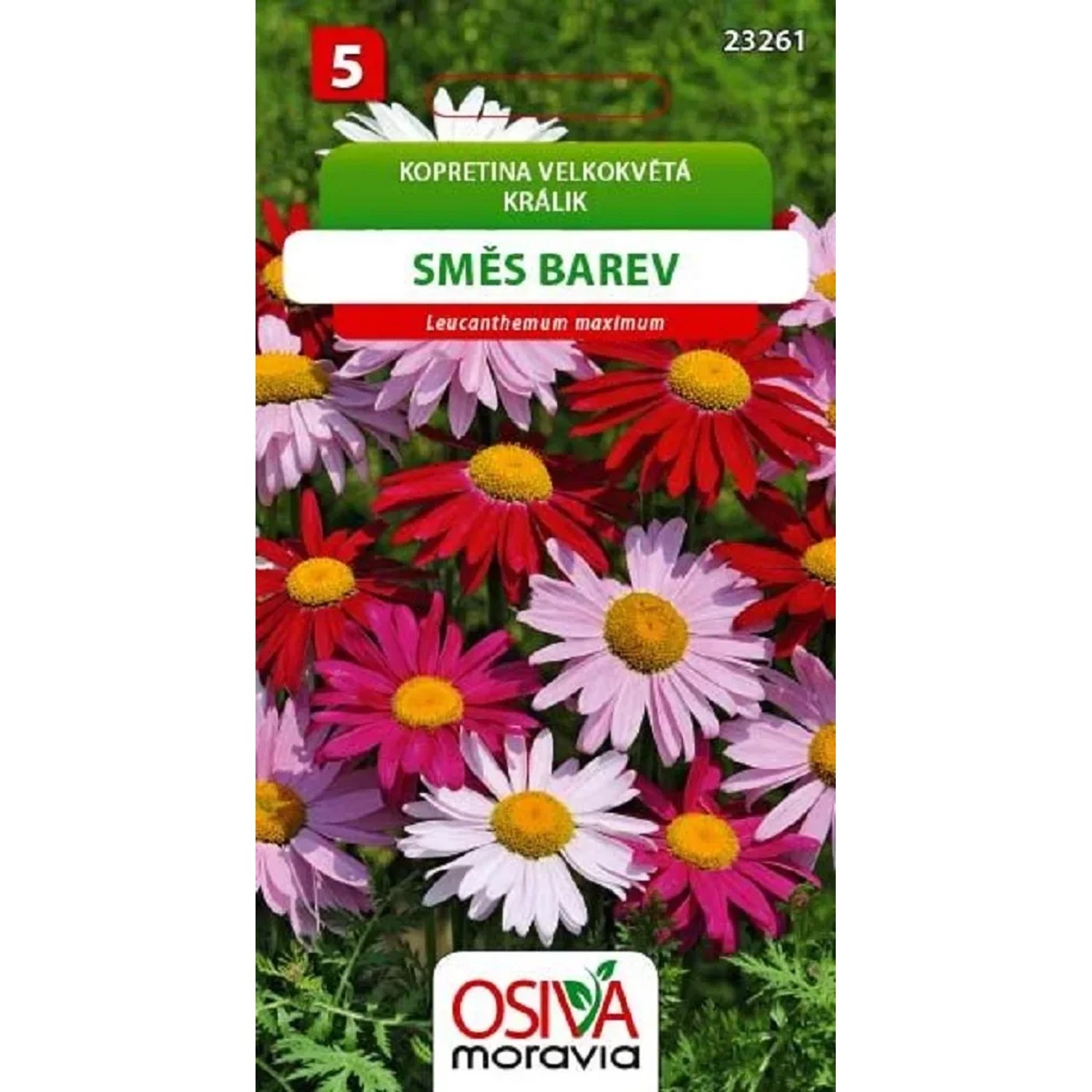 E-shop Aros Semienka Králik, zmes farieb (Chrysanthemum segetum)