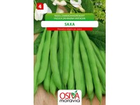 Semienka Fazuľa záhradná kríčková Saxa (Phaseolus vulgaris var. nanus)