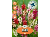 Zmes Ixia mix 10 ks