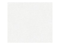 A. S. Creation Pretierateľná vliesová tapeta Meistervlies Creativ biela 248718