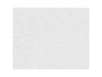 A. S. Creation Pretierateľná vliesová tapeta Meistervlies Creativ biela 141514