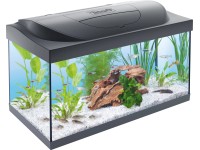 Tetra Kompletné akvárium Starter Line 54 l, 61 x 36 x 32 cm Tetra Kompletné akvárium Starter Line 54 l, 61 x 36 x 32 cm