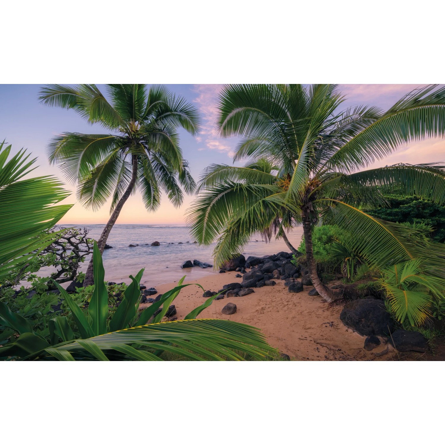 E-shop Komar Vliesová fototapeta Hawaiian Dreams, 450 x 280 cm