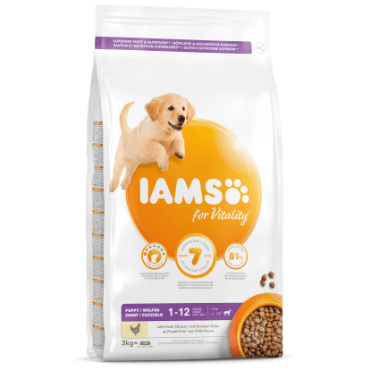 IAMS Granule pre psov PUPPY LARGE 1-12 mesiacov s čerstvým kuracím 3 kg