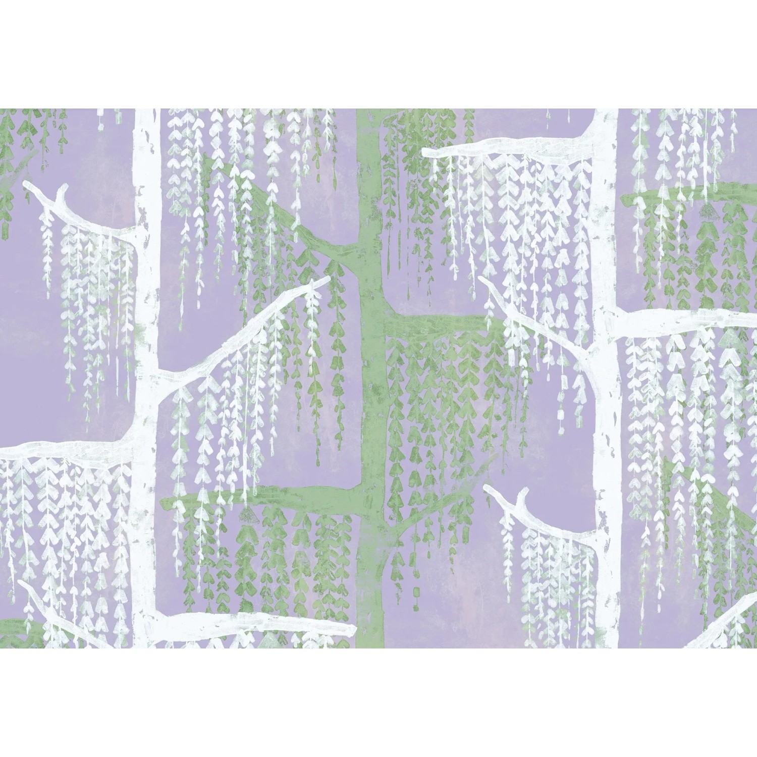 E-shop Komar Vliesová fototapeta Crazy Willow 350 x 250 cm