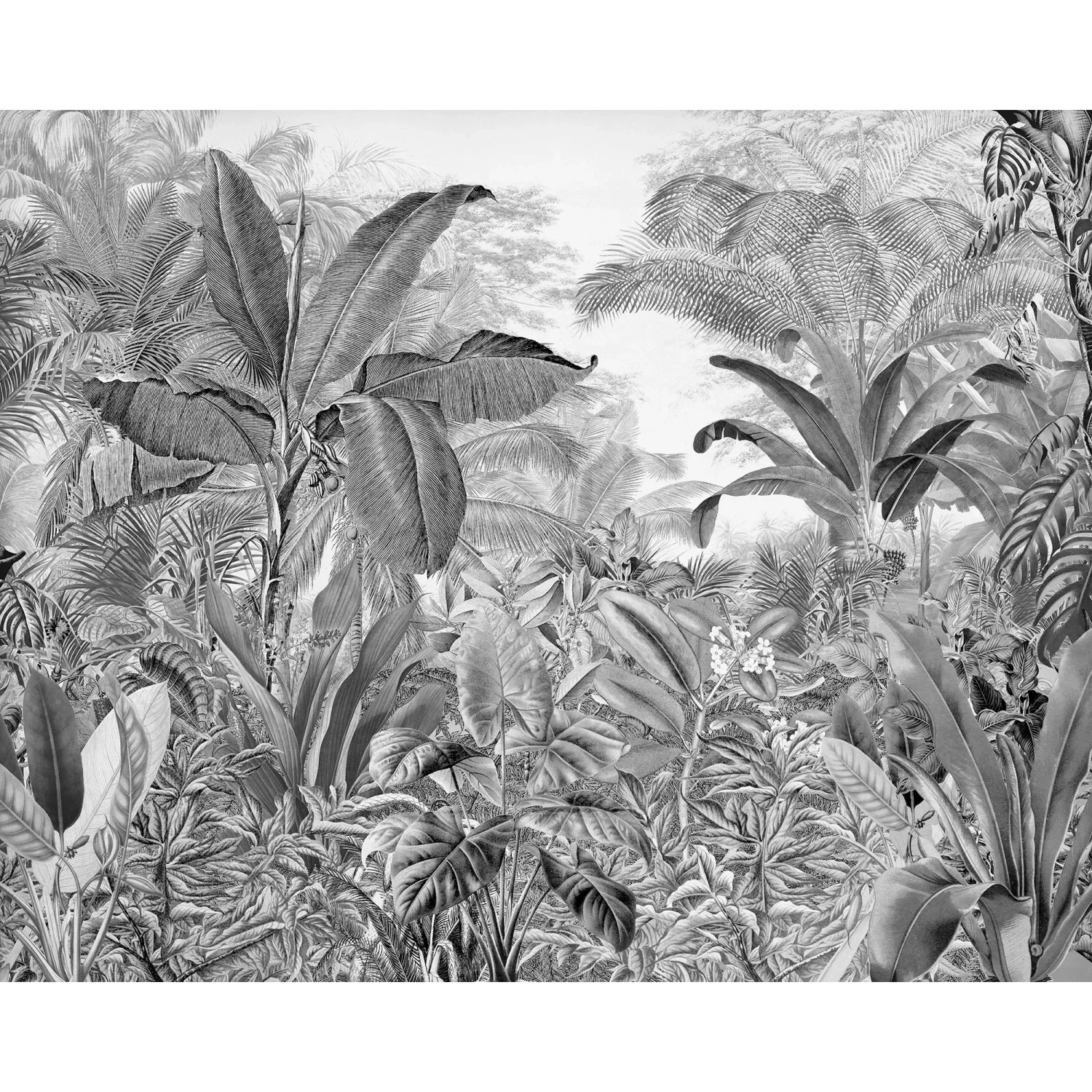 E-shop Komar Vliesová fototapeta Roraima 350 x 280 cm