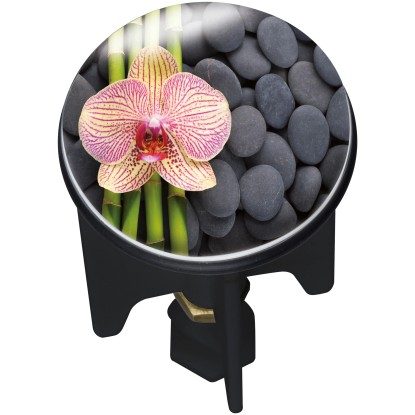 Wenko Odtoková zátka Pluggy Spa viacfarebná