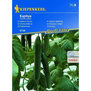 Obrázok semien šalátovej uhorky Kiepenkerl Euphya.