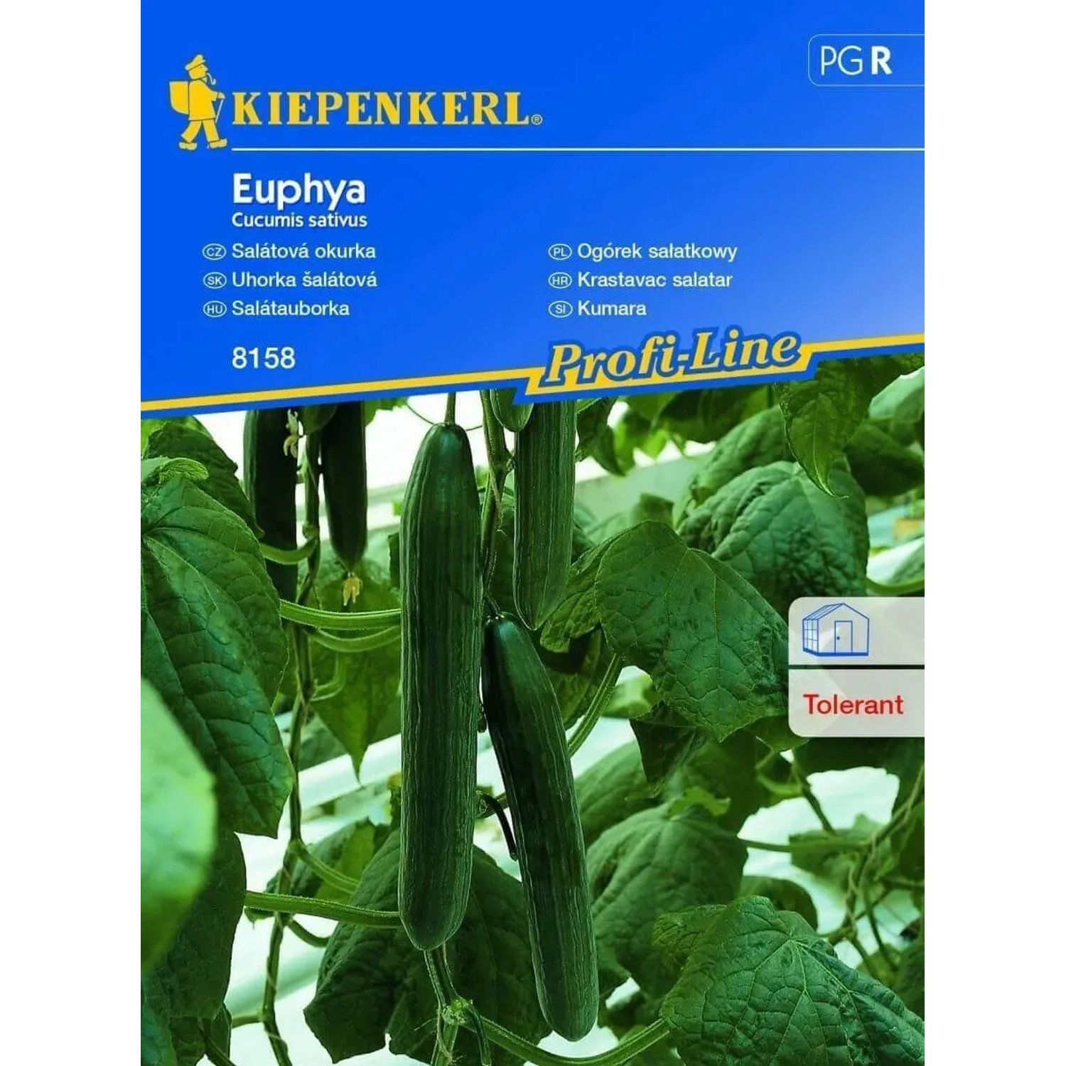 E-shop Kiepenkerl Semená Uhorka šalátová Euphya