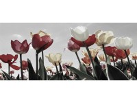 Bondecor Obraz, tlačené plátno Romance 50 x 120 cm