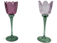 Boltze Sklenený svietnik Tully XS, rôzne druhy, pr. 7,8 x 22 cm, 1 ks