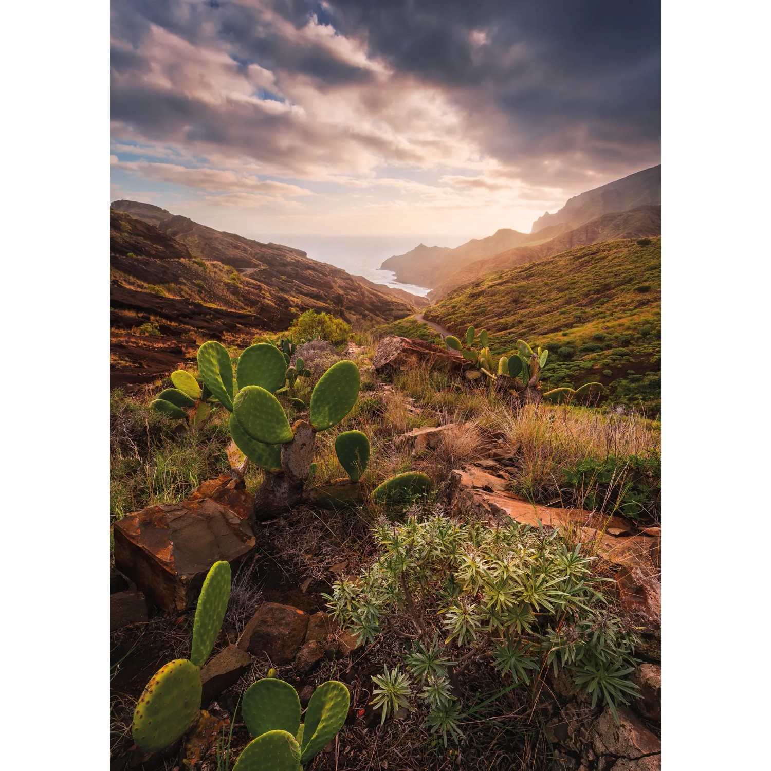 E-shop Komar Vliesová fototapeta Warmes Licht 200 x 280 cm