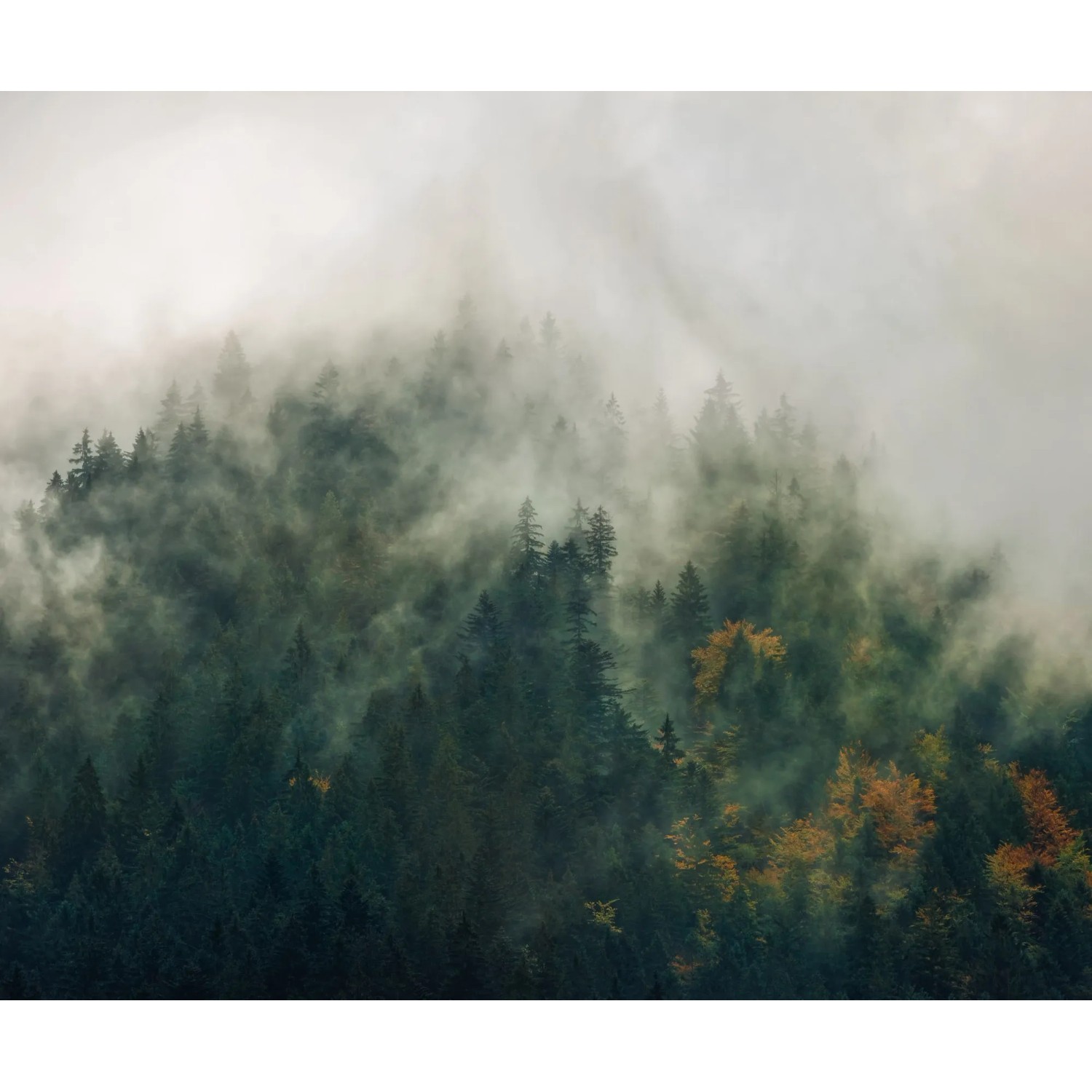 E-shop Komar Vliesová fototapeta Tales of the Carpathians, 300 x 250 cm