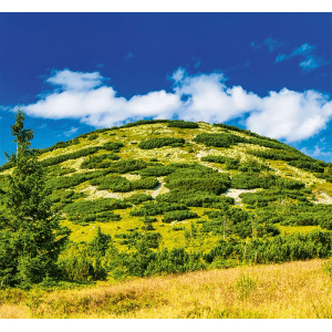 Helma 365 Nástenný mesačný kalendár 2027 plánovací Slovensko 12 x 48 cm