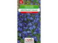 Semienka Lobelka drobná Krištáľový palác (Lobelia erinus)