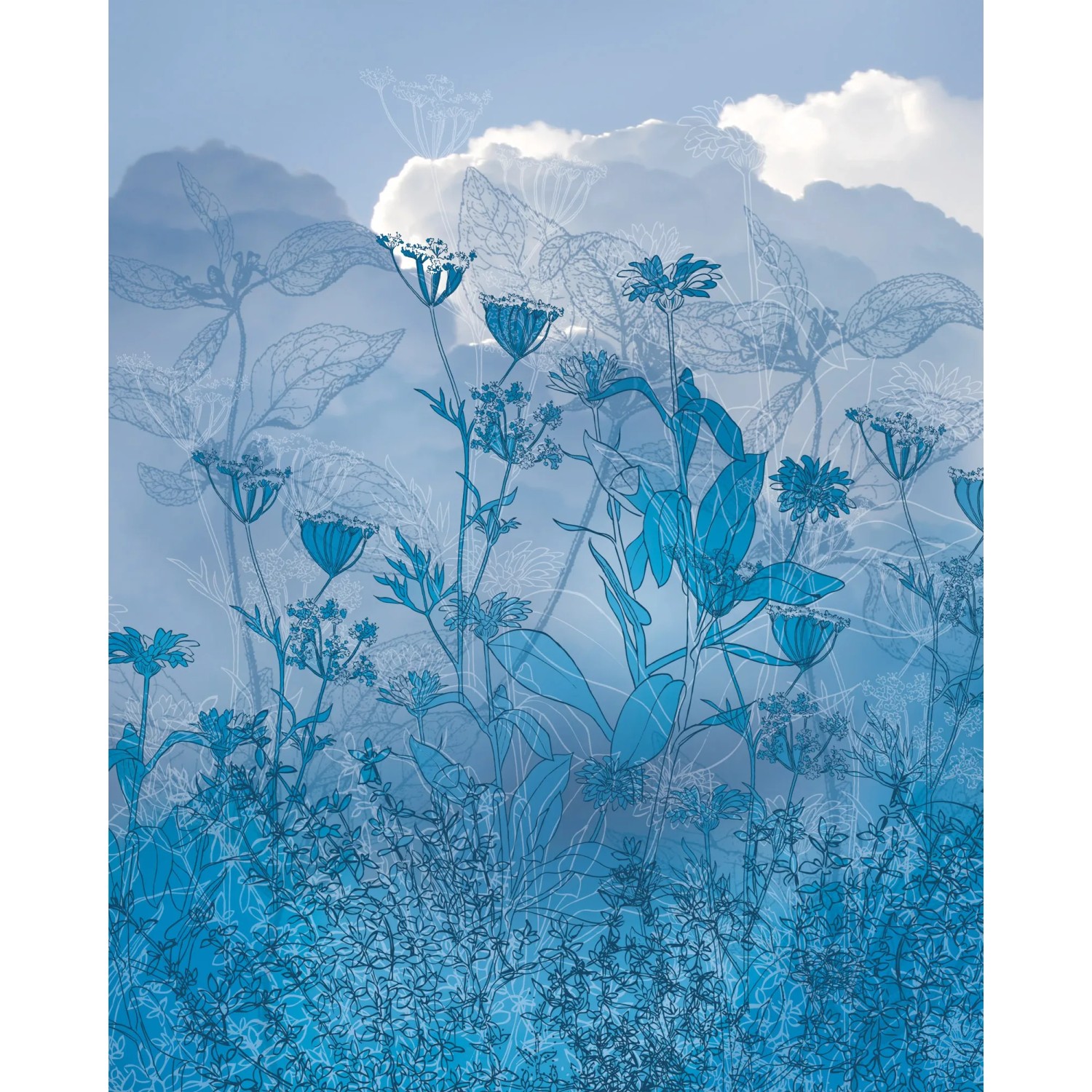 E-shop Komar Vliesová fototapeta Blue Sky 200 x 250 cm