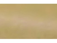 Arcansas Ochranný profil OPENROUND PVC karamelový 8 x 21,5 x 2500 mm