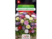 Semienka Astrovka čínska Pinnocio Dwarf, zmes farieb (Callistephus chinensis)