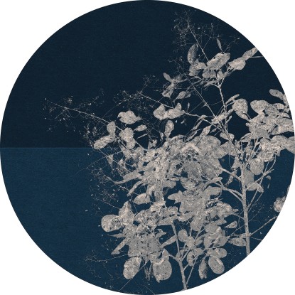 Komar Samolepiaca vliesová fototapeta Dot Branch pr. 125 cm