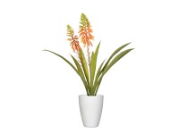 Mica Umelá rastlina Aloe Vera v kvetináči oranžová pr. 30,5 x 43 cm