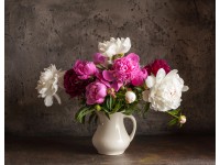 Bondecor Obraz, tlačené plátno Flora 60 x 80 cm