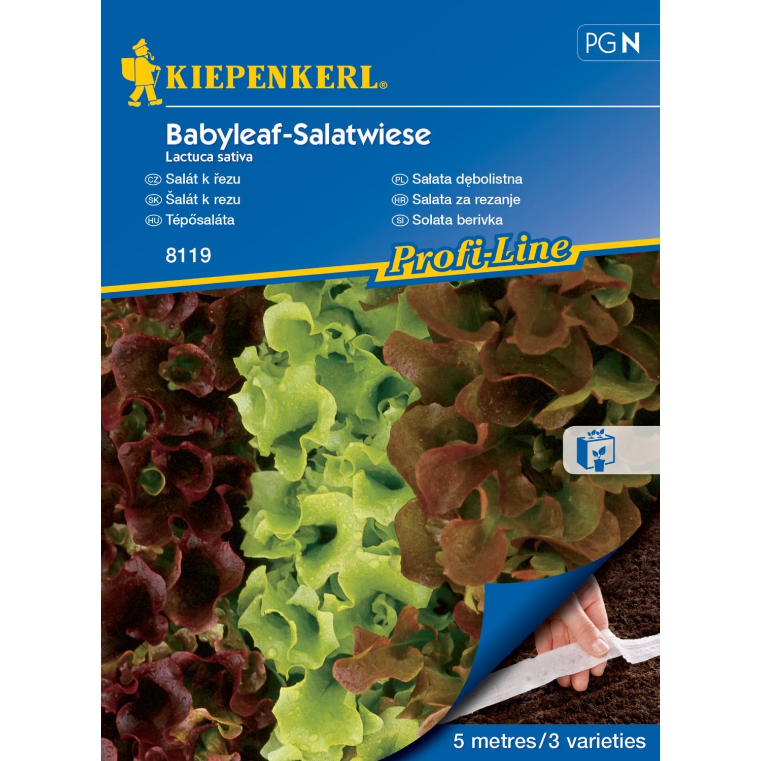 E-shop KIEPENKERL Listový šalát (Lactuca sativa) Loka, Vili, Kyrio