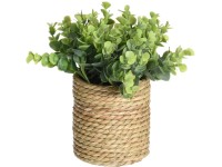 Koopman Umelá rastlina v kvetináči, rôzne druhy, pr. 22 x 21 cm