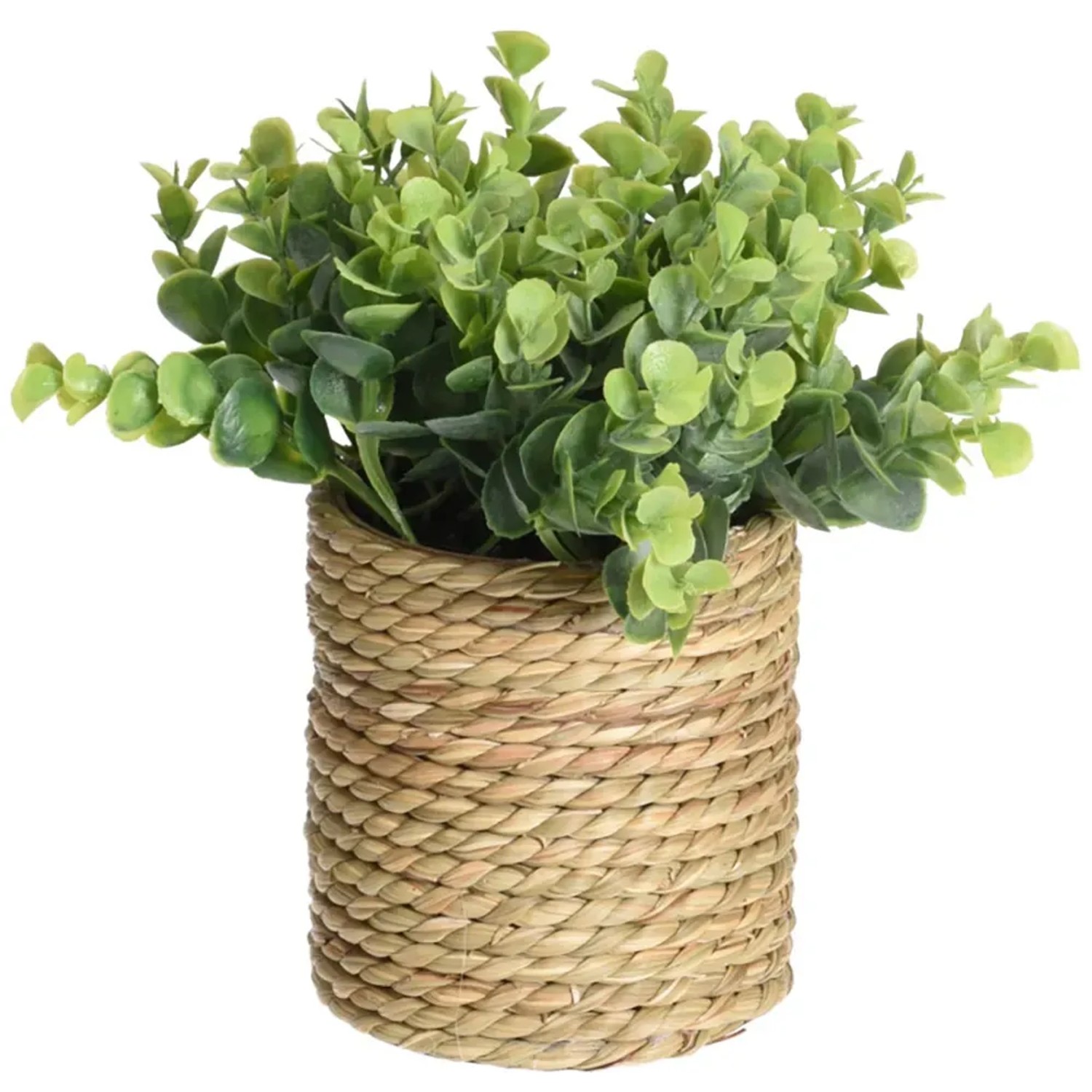 E-shop Koopman Umelá rastlina v kvetináči, rôzne druhy, pr. 22 x 21 cm