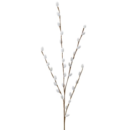 Boltze Umelá rastlina vetvička mačička 2 x 8 x 75 cm, 1 ks