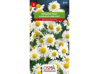 Osiva Moravia Semienka Rumanček kamilkový (Matricaria chamomilla)