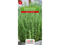 Osiva Moravia Semienka Rozmarín lekársky (Rosmarinus officinalis)