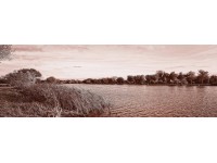 Bondecor Obraz, tlačené plátno Free 50 x 150 cm