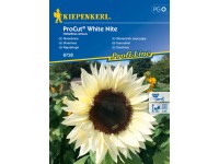 Kiepenkerl Slnečnica ProCut White Nite