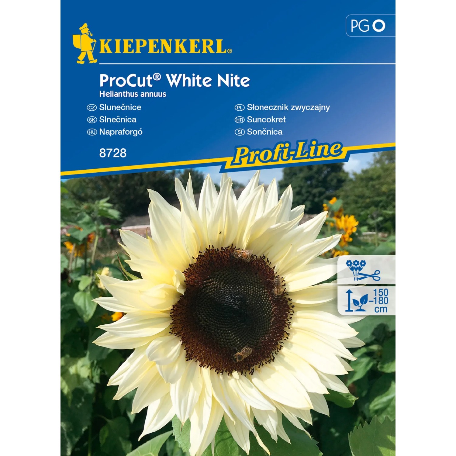 E-shop Kiepenkerl Slnečnica ProCut White Nite