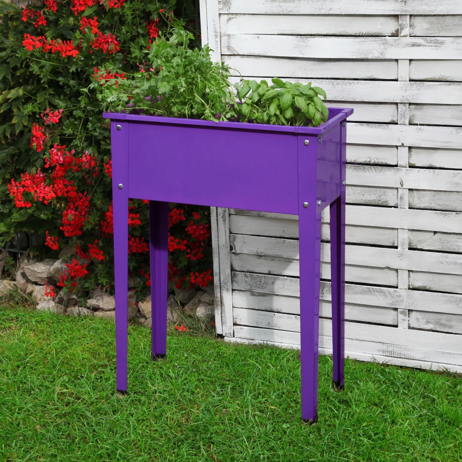 E-shop Floraworld Vyvýšený záhon Season purpurový 60 x 30 x 80 cm