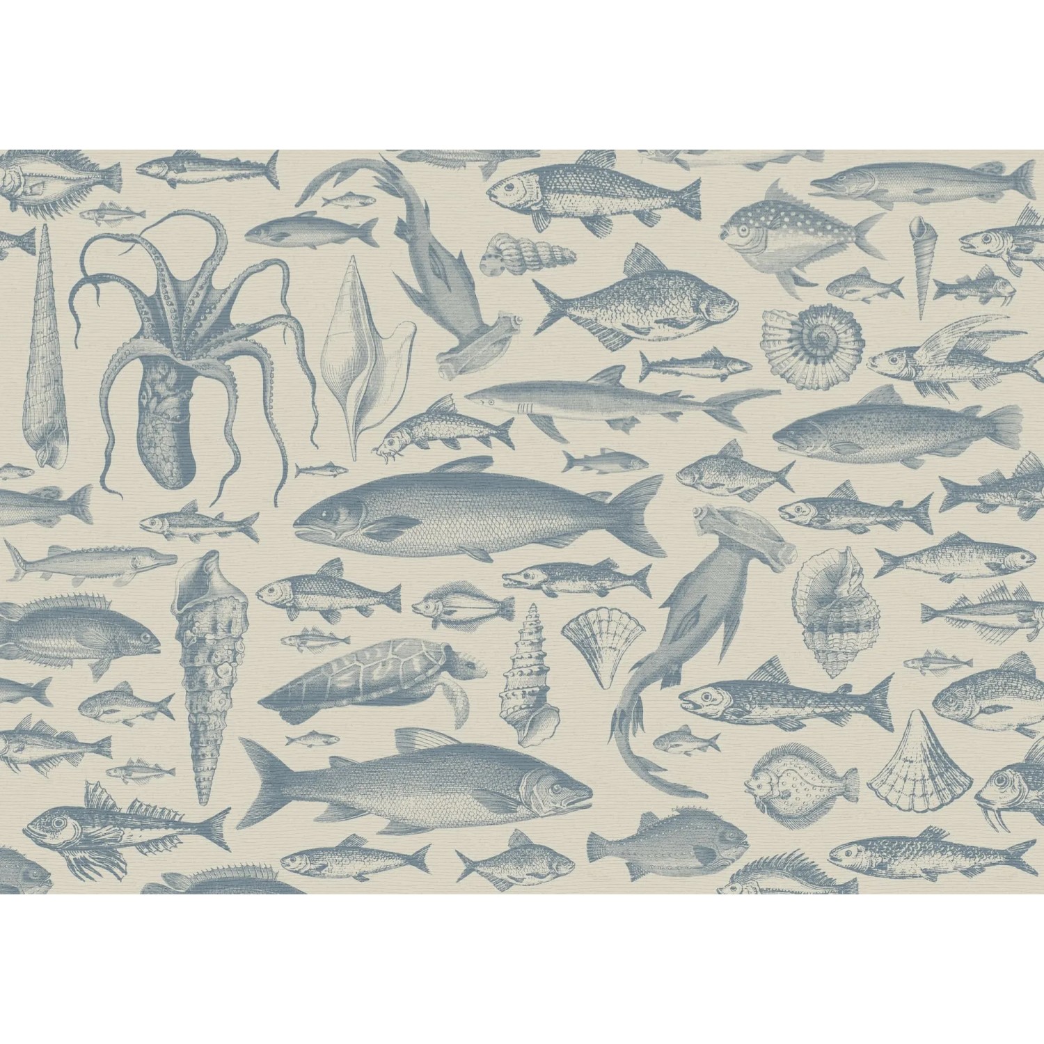E-shop Komar Vliesová fototapeta Sea Study 250 x 350 cm