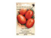 Nostalgie Rajčiak kríčkový ODEON oválny Nostalgie Rajčiak kríčkový ODEON oválny