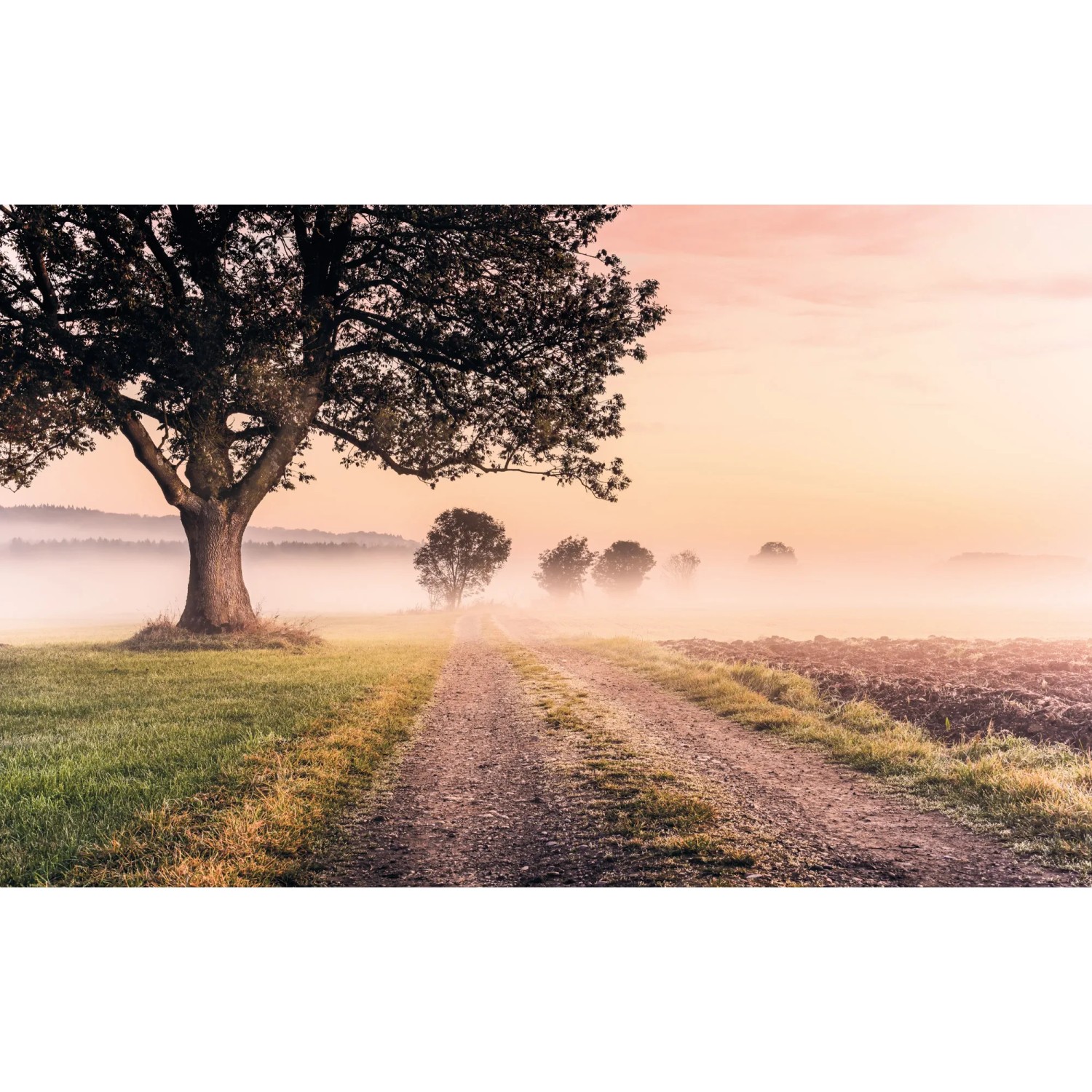 E-shop Komar Vliesová fototapeta Misty Morning 400 x 250 cm