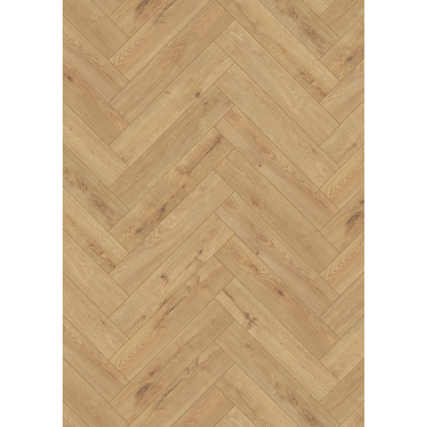 E-shop Kaindl Laminátová podlaha Masterfloor Laminate dub Edinburg 630 x 126 x 8 mm