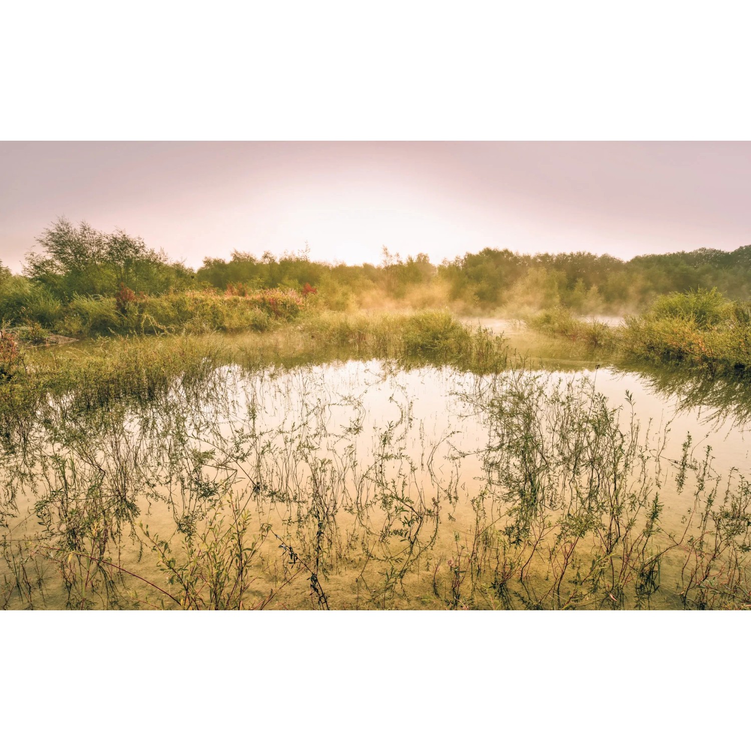 E-shop Komar Vliesová fototapeta Morning View II 400 x 250 cm