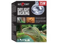 Repti Planet Žiarovka do terária Daylight Basking Spot, 75 W