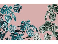 Komar Vliesová fototapeta Monstera Rosé 400 x 250 cm