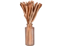 Sušené kvety vo váze Desert Flower 30 cm tmavohnedé