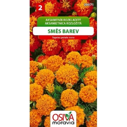Osiva Moravia Semienka Aksamietnica rozložitá, zmes farieb (Tagetes nana)