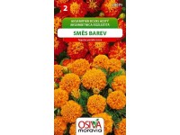 Osiva Moravia Semienka Aksamietnica rozložitá, zmes farieb (Tagetes nana)