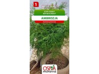 Osiva Moravia Semienka Kôpor voňavý Ambrozja (Anethum graveolens)
