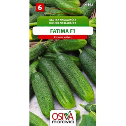 Semienka Uhorka nakladačka Fatima F1 (Cucumis sativus)