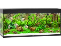 Juwel Aquarium Akvarijný set Rio LED, čierny, 240 l, 121 x 41 x 55 cm Juwel Aquarium Akvarijný set Rio LED, čierny, 240 l, 121 x 41 x 55 cm